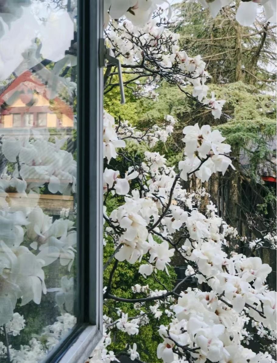 图源:网友@球球凡的影像实验室 图源:网友@球球凡的影像实验室